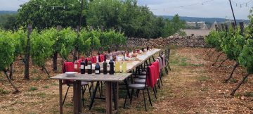 wine table set in vineyard