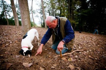truffle hunter and dog