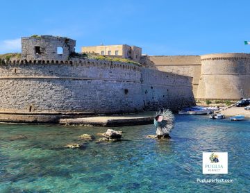 Gallipoli Castle